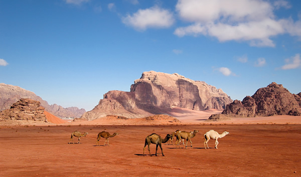 Wadi Rum